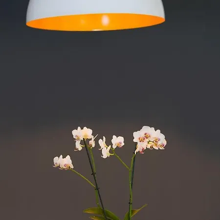 Ana 2 I 3 Appartement Malinska